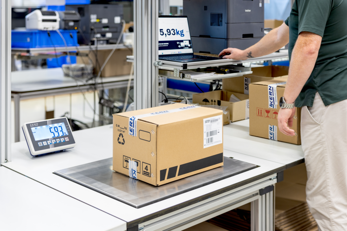 Balanzas de plataforma Rango 3.000 g; 6.000 g Resolución 1 g; 2 g