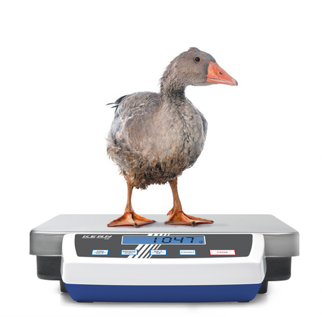 Balanza de Plataforma Industrial de Doble Rango – 15/35 kg